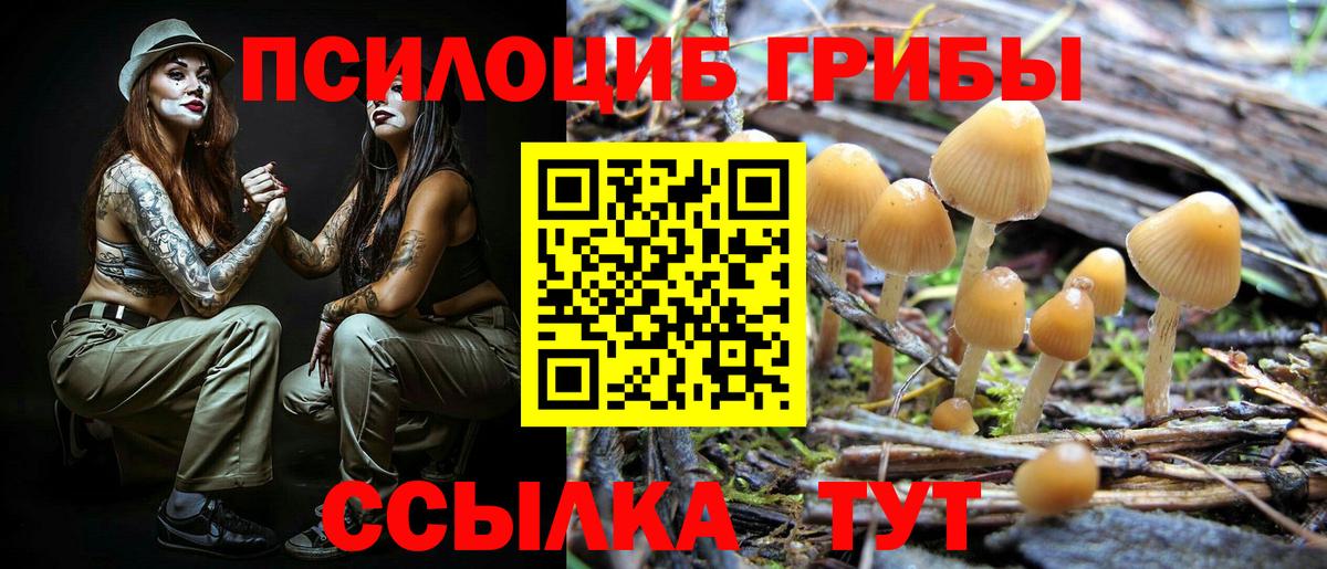 Галлюциногенные грибы MAGIC MUSHROOMS  Вход с VPN  Карталы  Галлюциногенные грибы Cubensis 